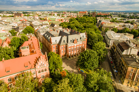 Collegium Novum